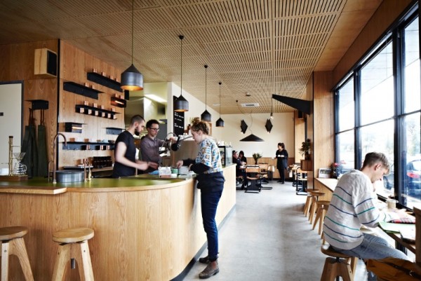 Common Galaxia 1.jpg