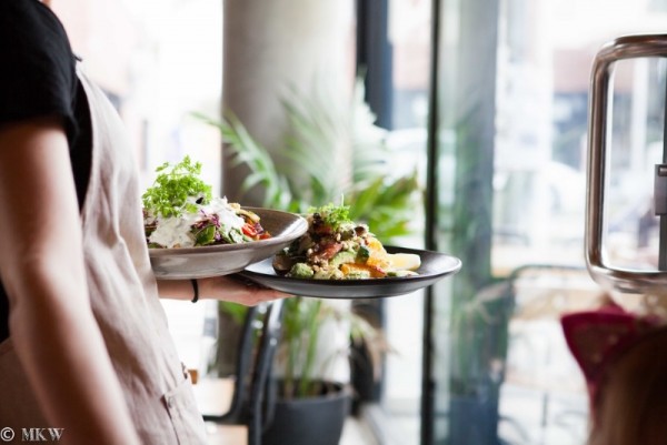 Common Galaxia 3.jpg